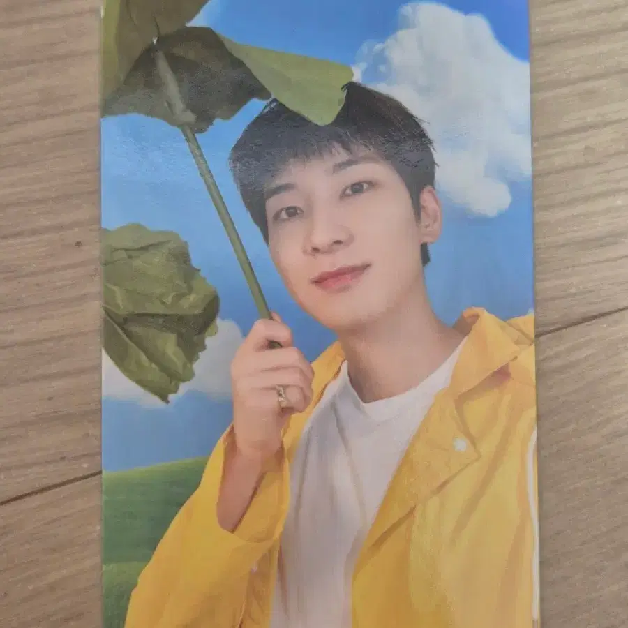 SVT 세븐틴 원우 HEAVEN Carat Ver.