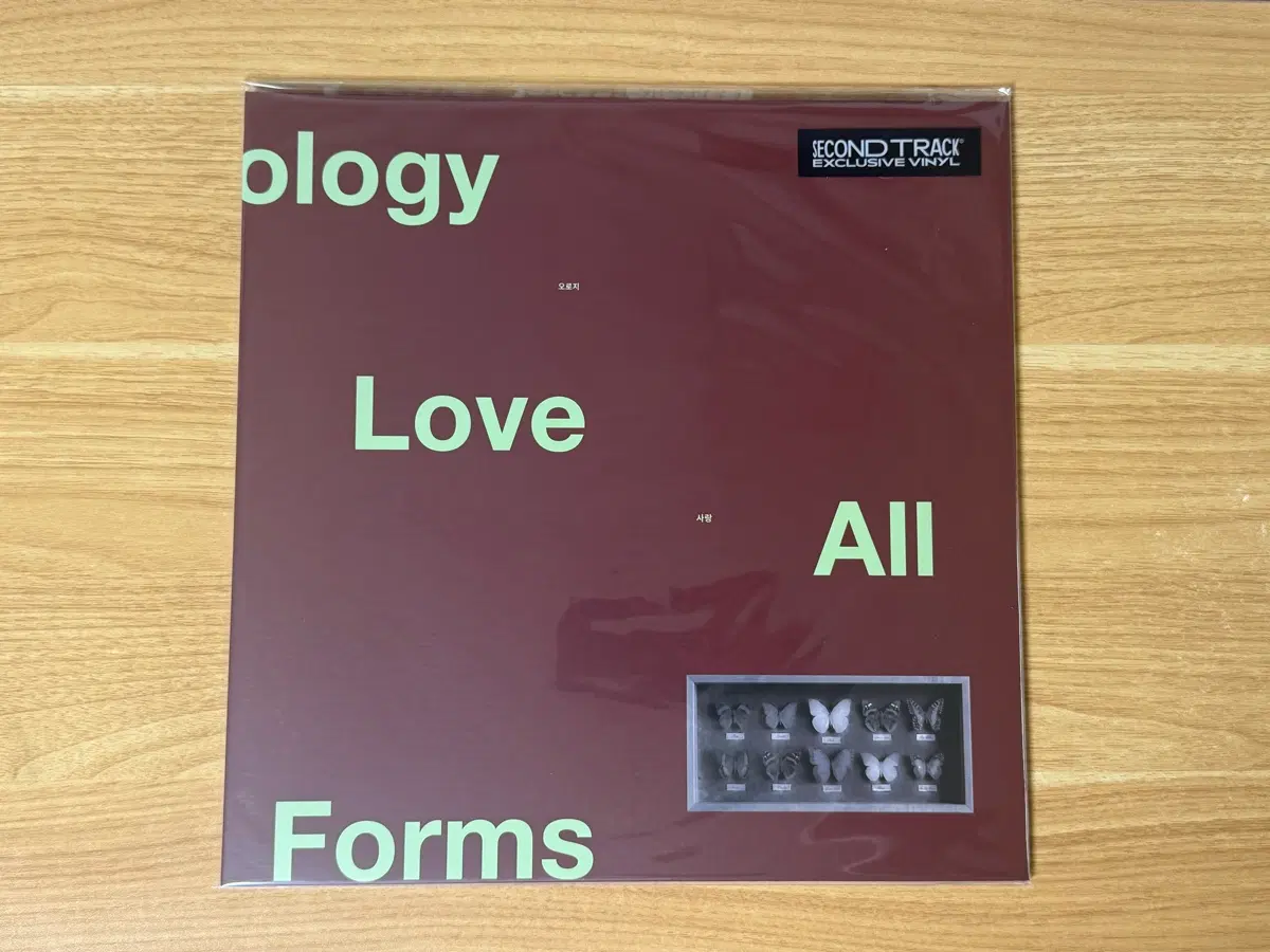 12BH 원투비하이 An Anthology of Love LP 미개봉