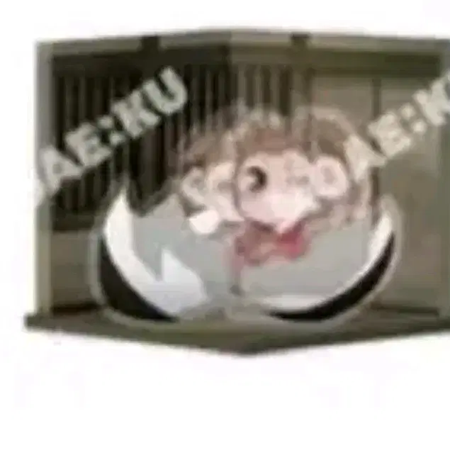 오늘부터 신령님 오신령 마모루 디오라마, 포카 양도