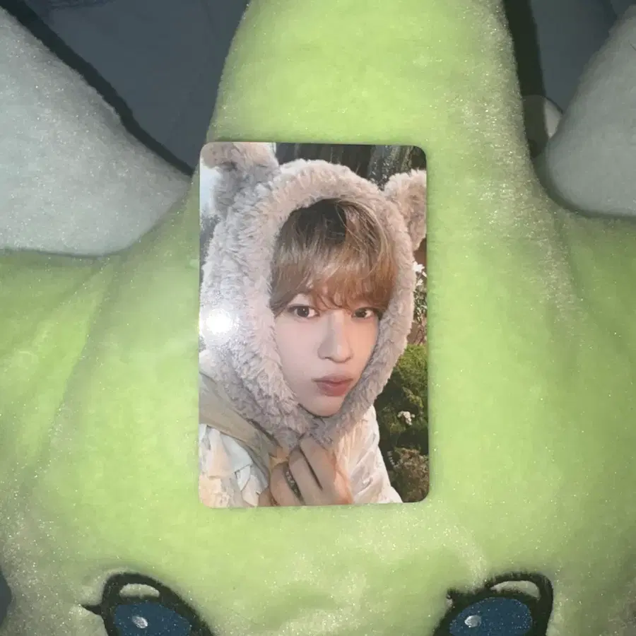 엔시티위시 시온 일본 멤버십 포카