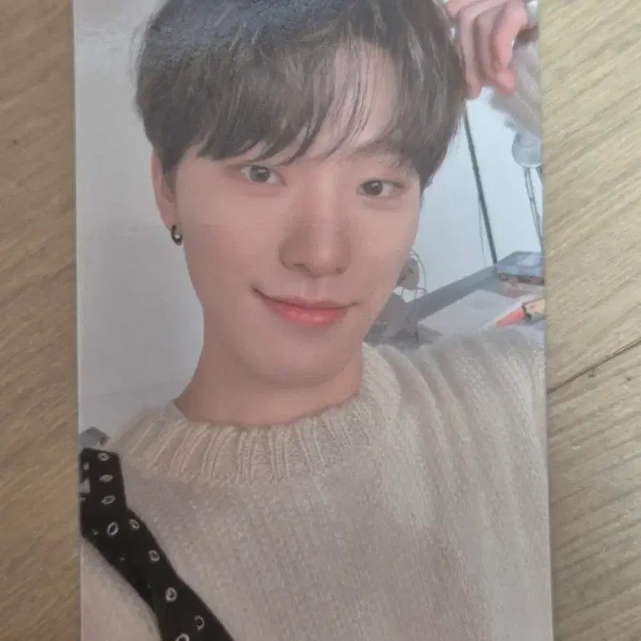 SVT 세븐틸 페더썬 디노 캐럿반 포카