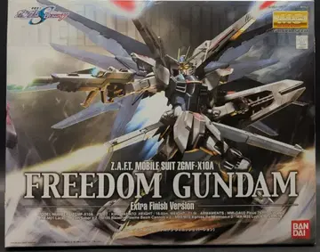 반다이 MG 1/100 기동전사 건담 SEED DESTINY 프리덤 건담 (엑스트라 피니시 버전)