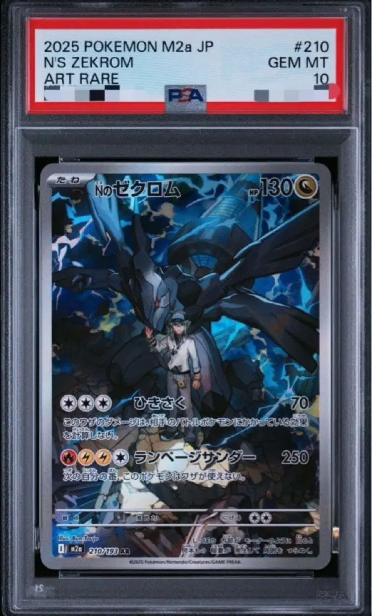 N의 제크로무 일판 AR PSA 10