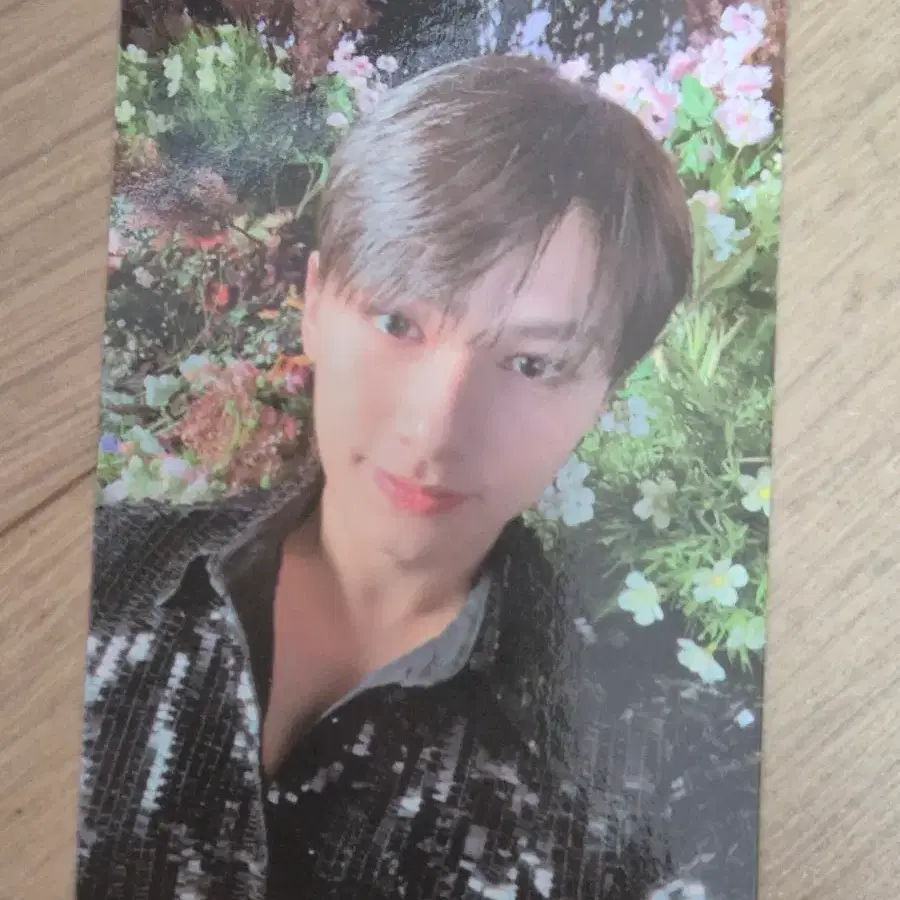 세븐틴 SVT 준 페더썬 캐럿반 물감포카