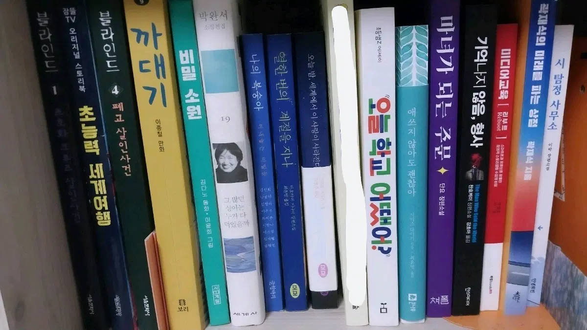 책 판매 소설 에세이 만화