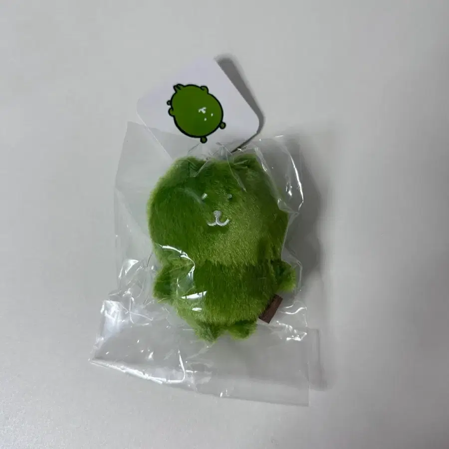 나가노 농담곰 컬러곰 말차 키링