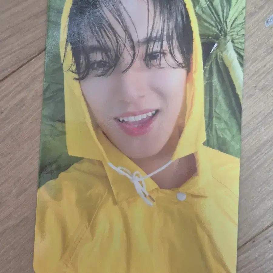 세븐틴 SVT 헤븐 캐럿반 민규 포카