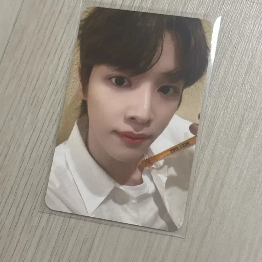 라이즈 성찬 포카
