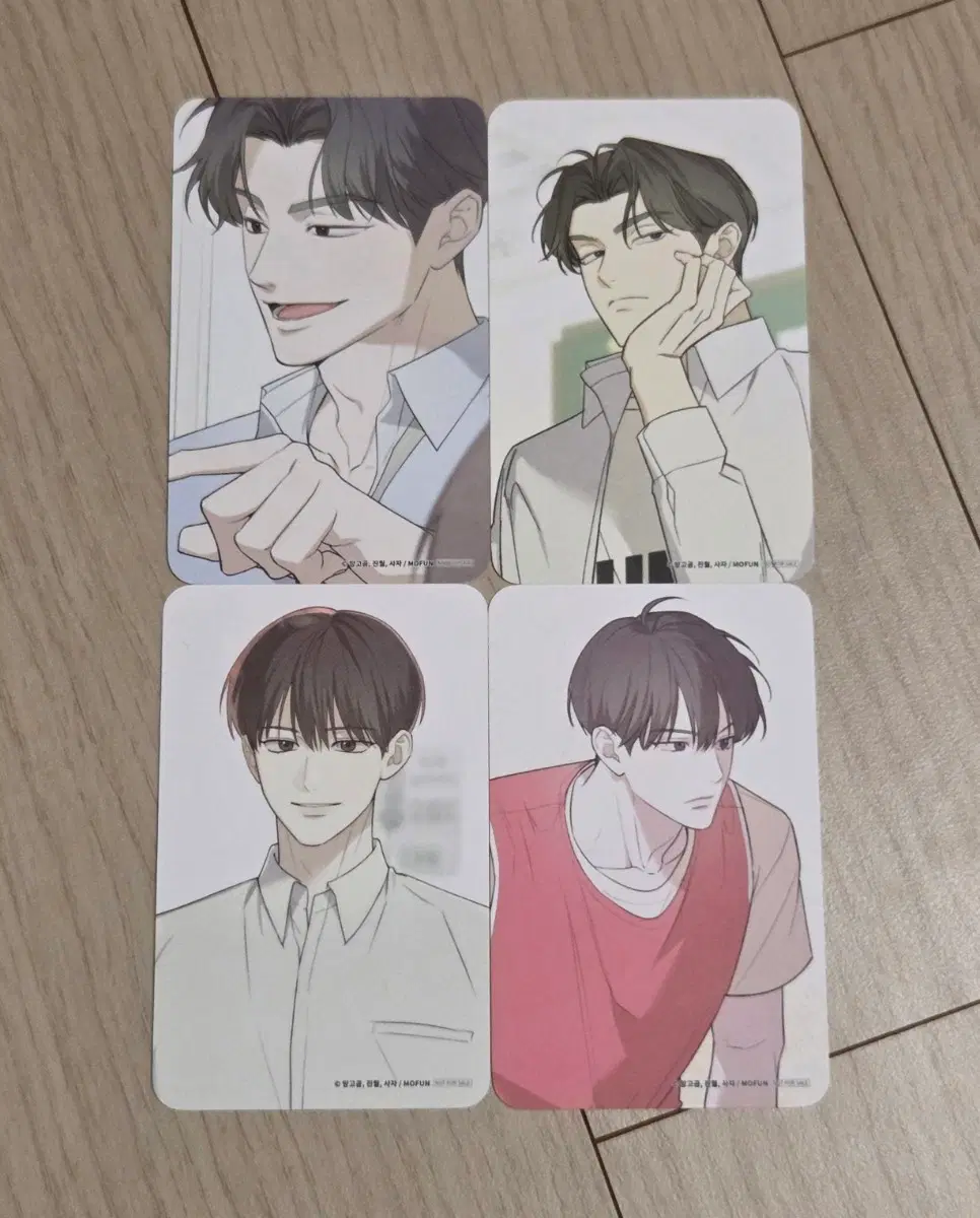 오류 탐구 영역 포카 4종 일괄
