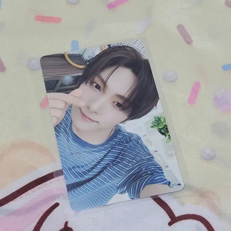 투어스 소다소다 팝업 시부야 포카 판매 영재