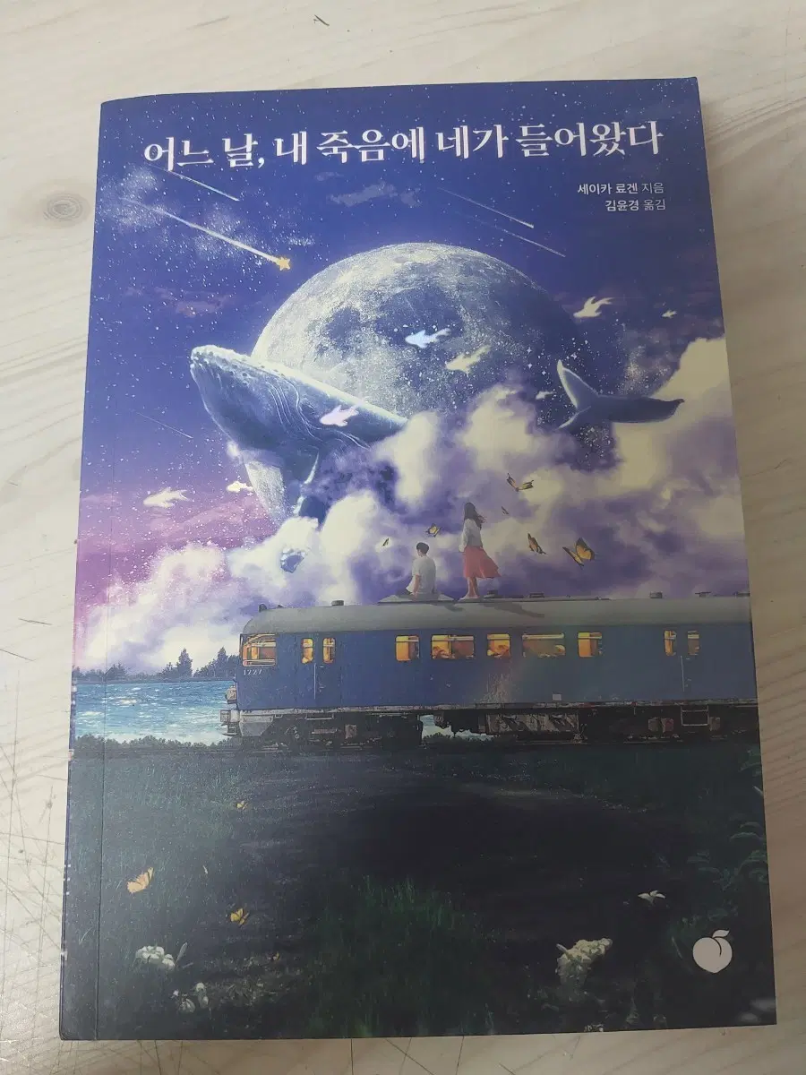 어느 날, 내 죽음에 네가 들어왔다 세이키 료겐 작가