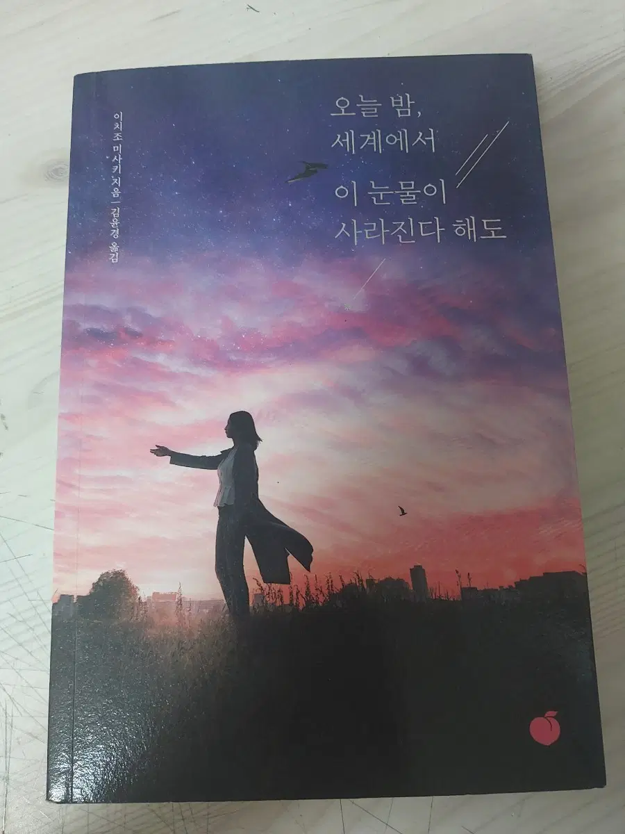 오늘 밤, 세계에서 이 눈물이 사라진다 해도 이치조 미사키 작가 오세이사 후속작