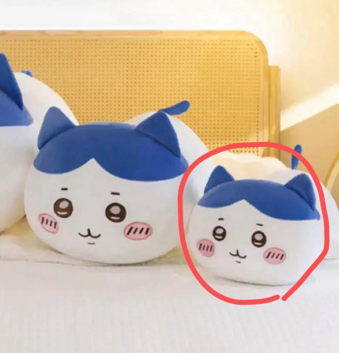 치이카와 하치와레 40센치 인형
