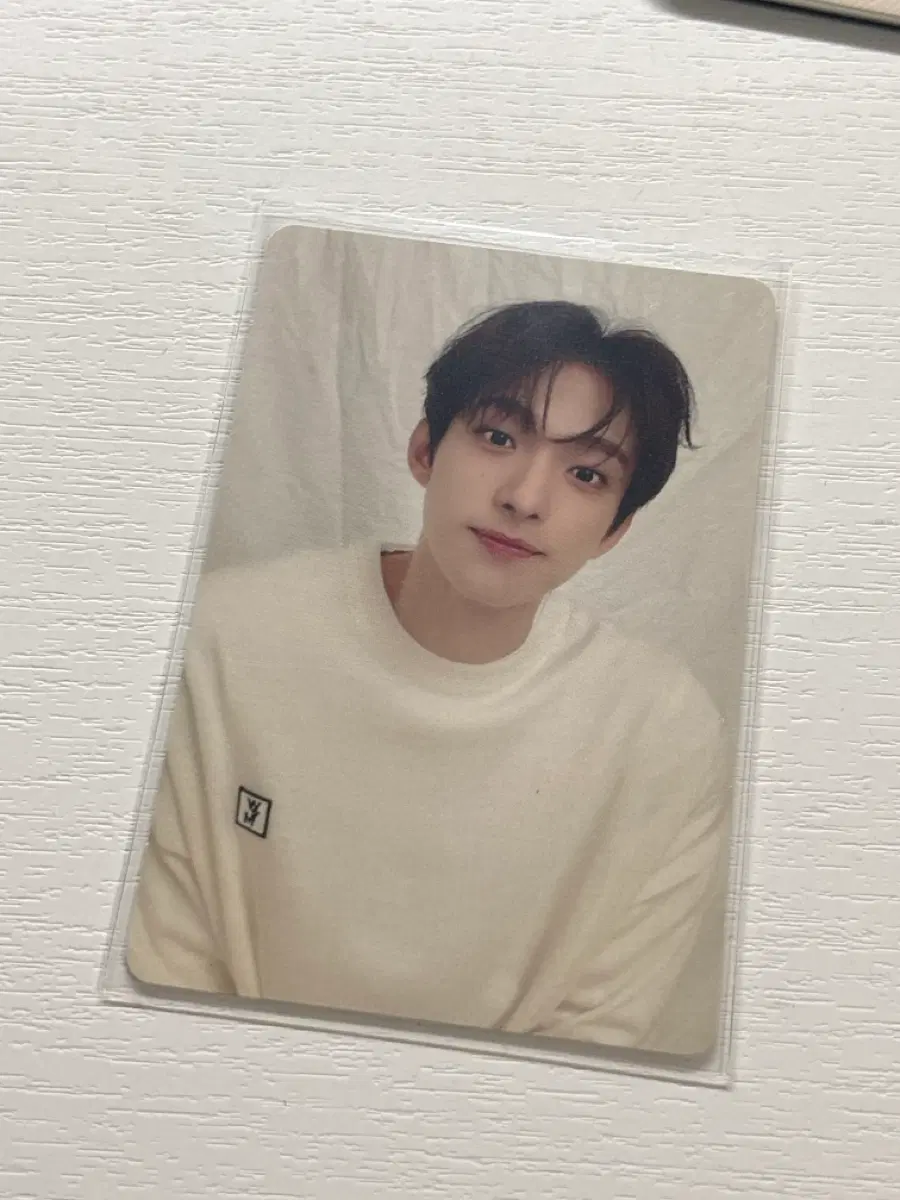세븐틴 도겸 24h 투포아 포카