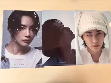 SEVENTEEN 정한 BANILA CO 클리어 파일 3매
