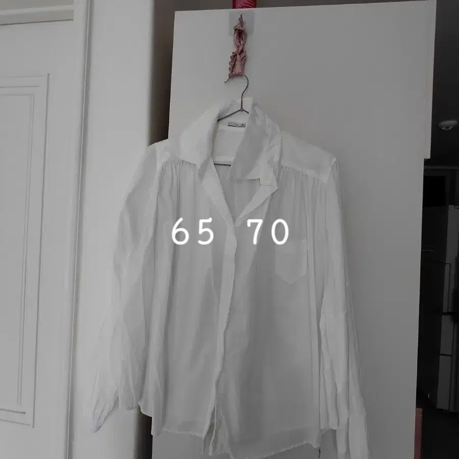 루키버드남방77까지