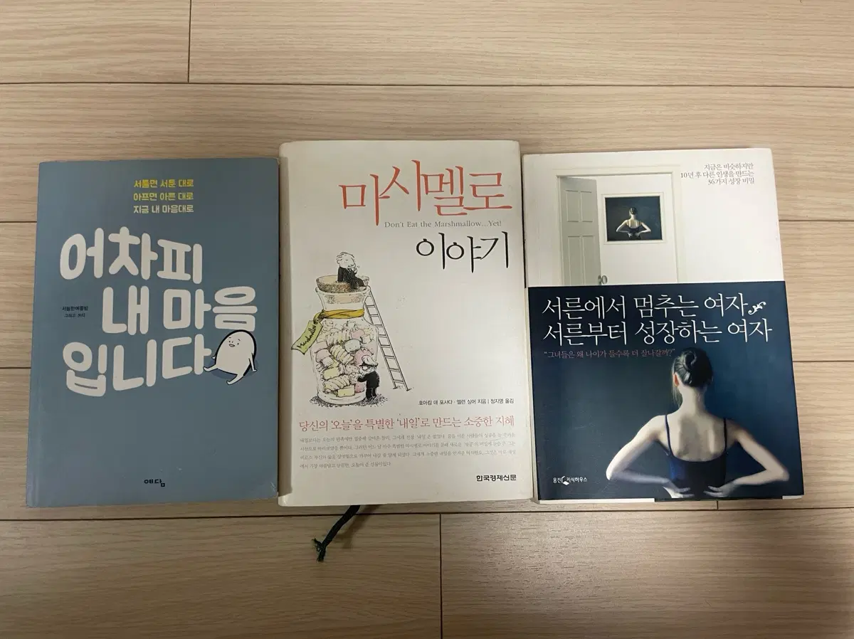 어차피 내 마음입니다 / 마시멜로 이야기 / 서른에서 멈추는 여자