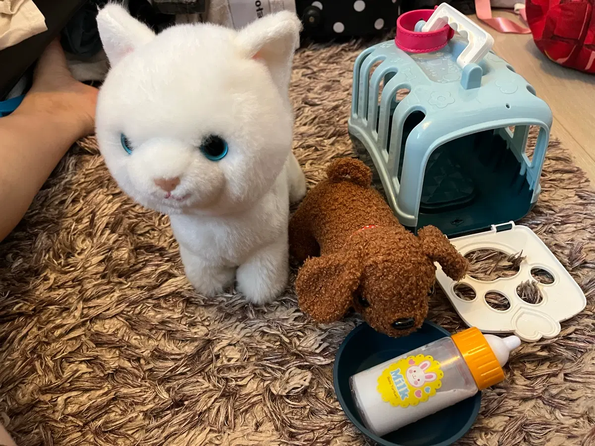 움직이면서 노래하는 고양이 + 애착 강아지 인형 이동장 세트