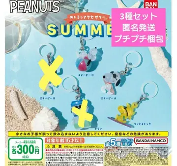 PEANUTS 스누피 메지루시 액세서리 SUMMER 3종 세트