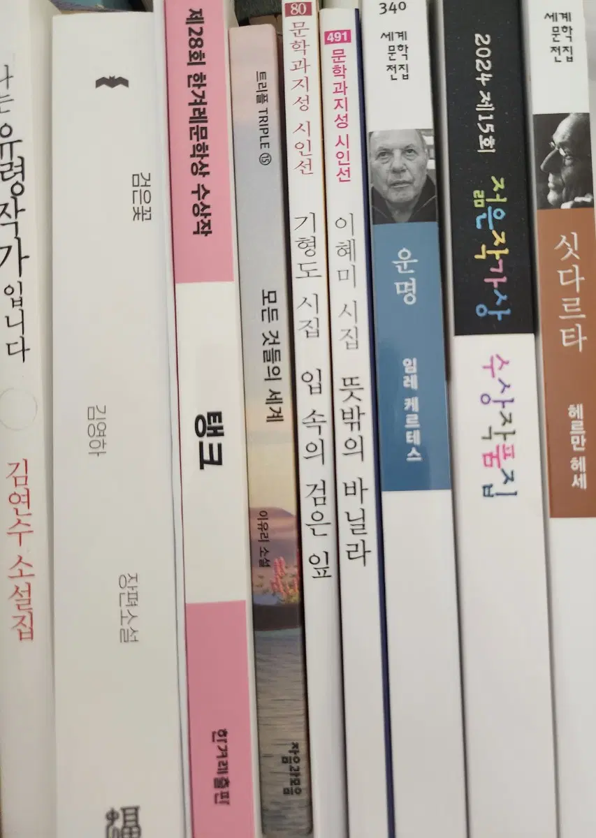 소설책 시집 김연수 김영하 이유리 권여선 기형도 이혜미 헤르만헤세