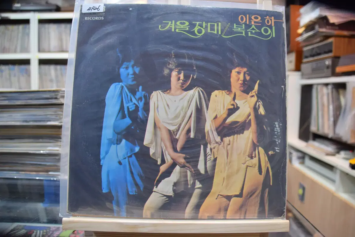 이은하 니어민트 : 겨울장미