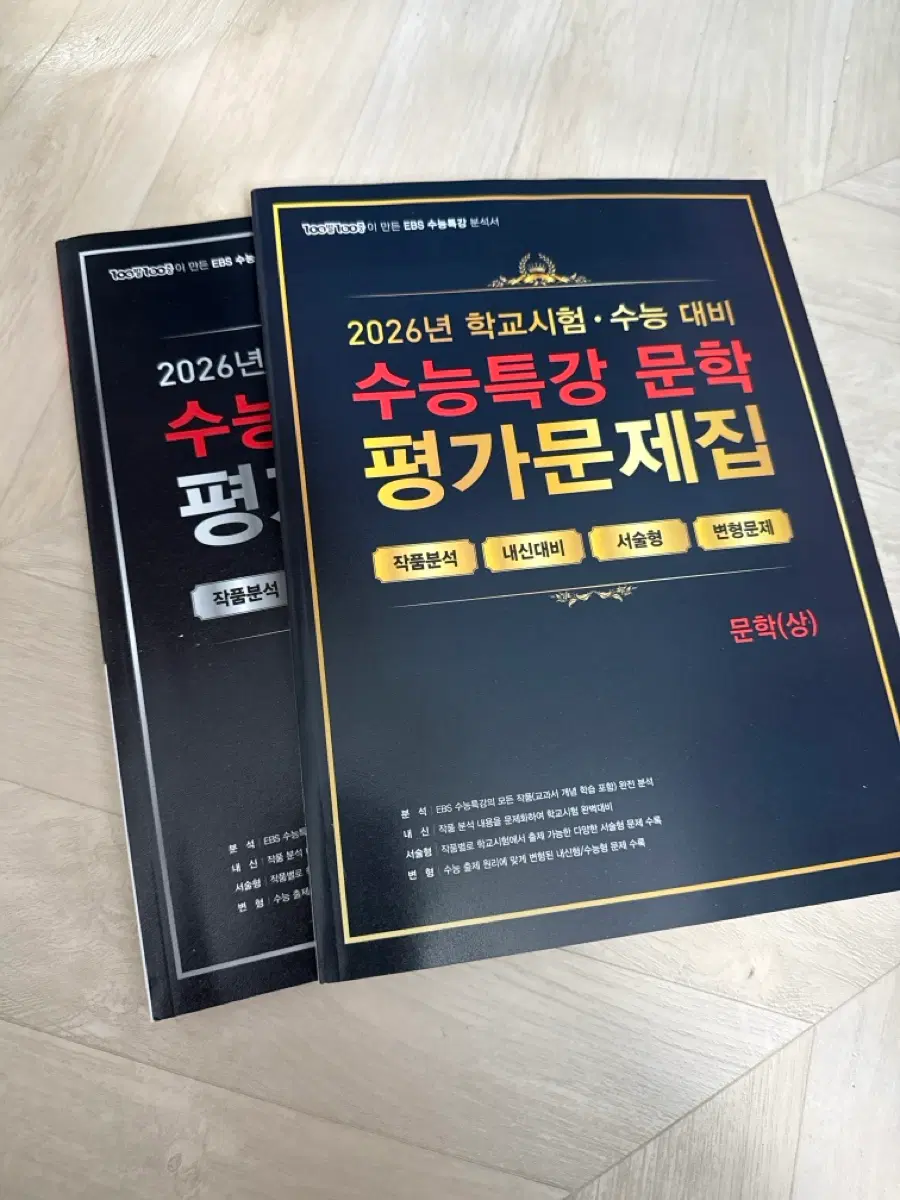 수능특강 문학 분석