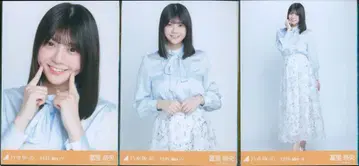 노기자카46 회장 한정판 브로마이드 토미사토 리나 2025.May-V 빅 보타이 블라우스 컴프