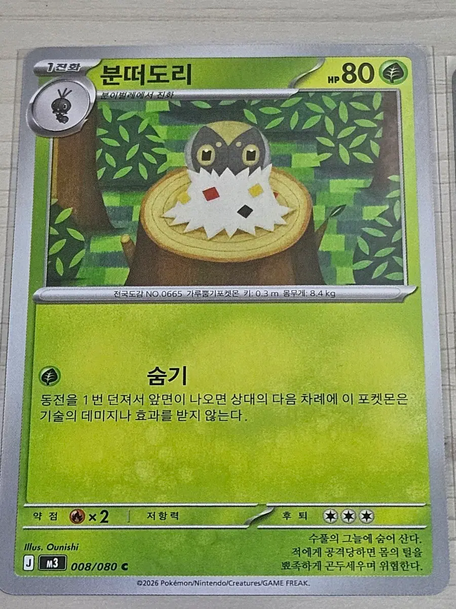 [최저가] 포켓몬 카드 분떠도리 008/080 C