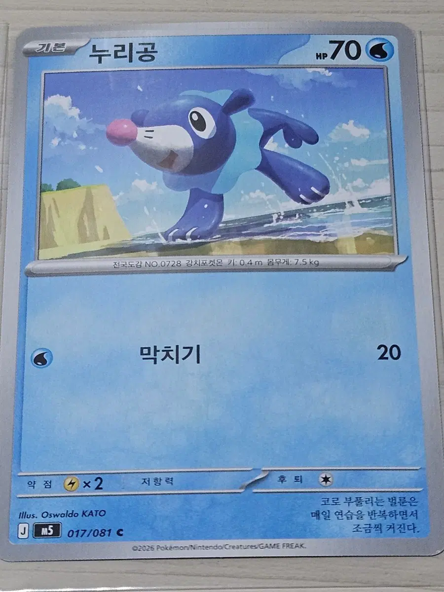 [최저가] 포켓몬 카드 누리공 017/081 C