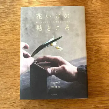[꽃꽂이의 핵심] 그릇과 색, 빛으로 만드는 계절의 꽃꽂이