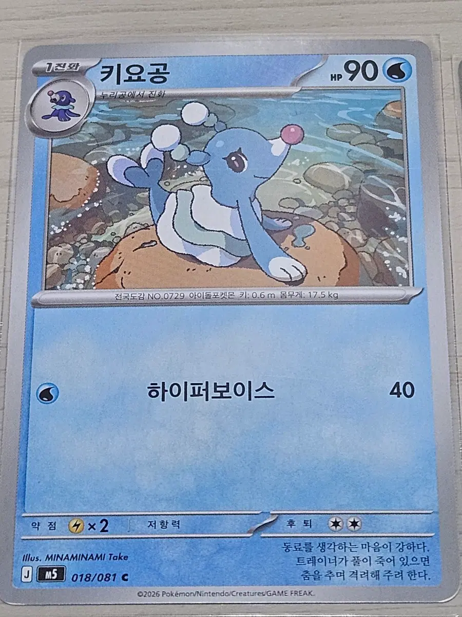 [최저가] 포켓몬카드 키요공