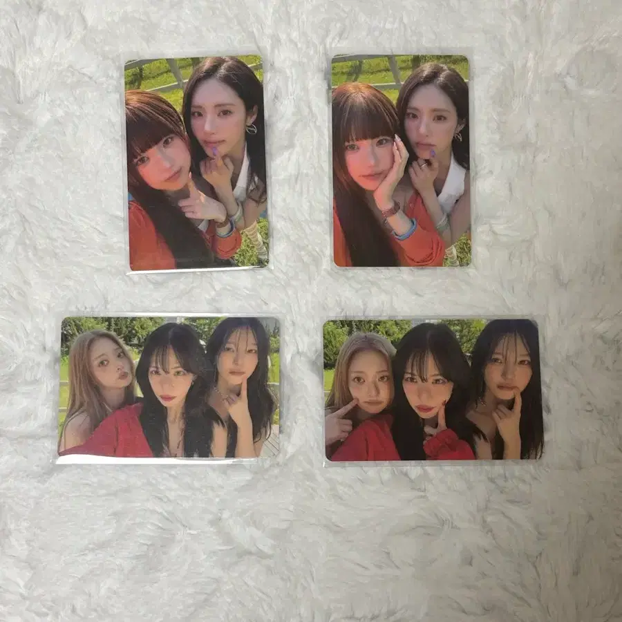 비타민 미 프로미스나인 포카