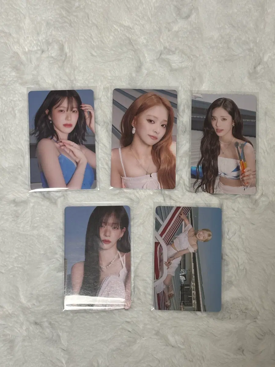 프로미스나인 비타민 미 포카