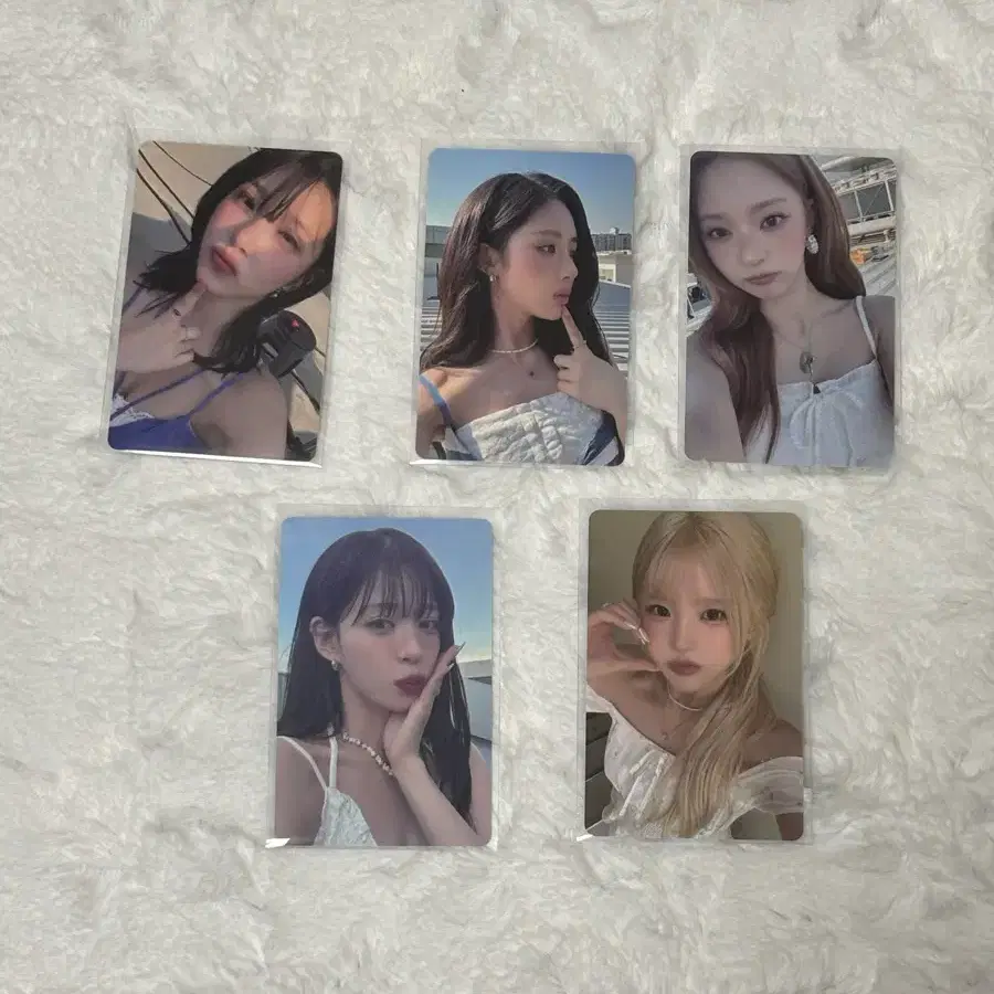 비타민 미 프로미스나인 포카