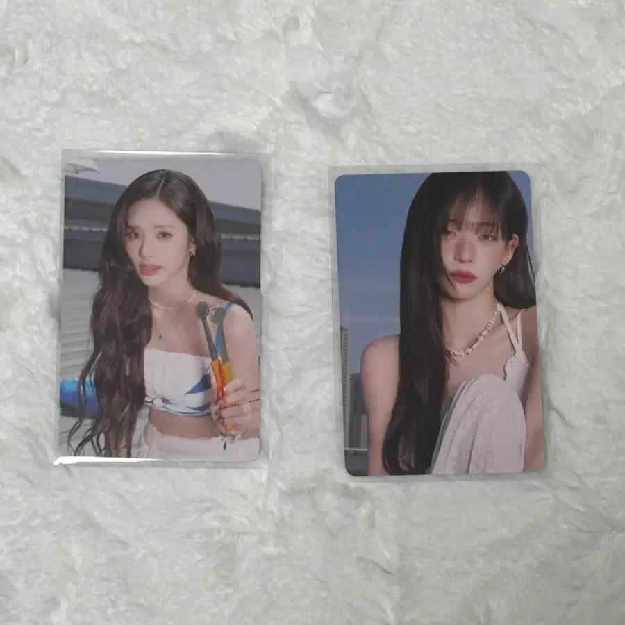 프로미스나인 비타민 미 포카