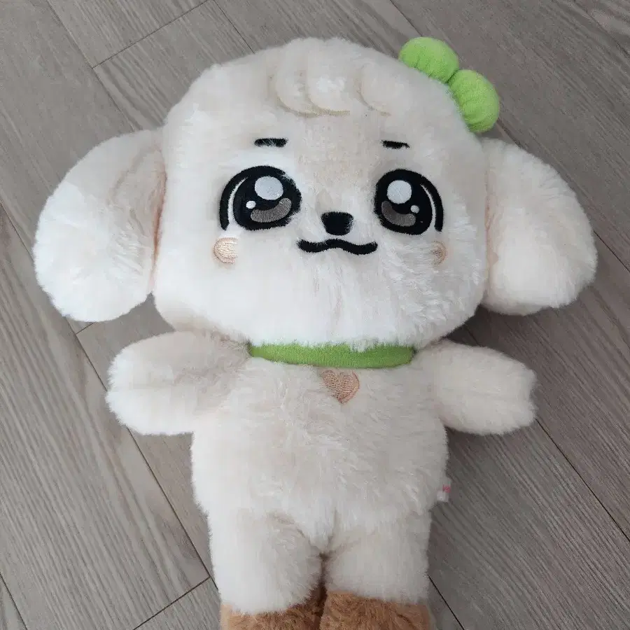 미니브 30cm 강안지