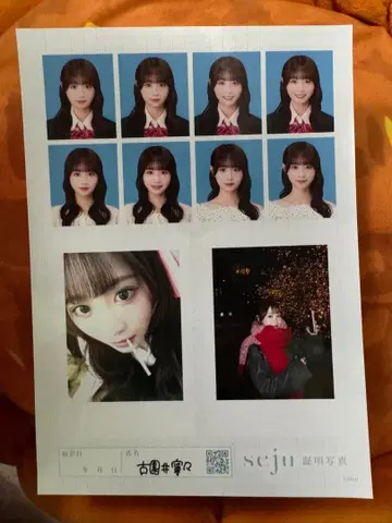 증명사진 시트 seju 후조이 네네