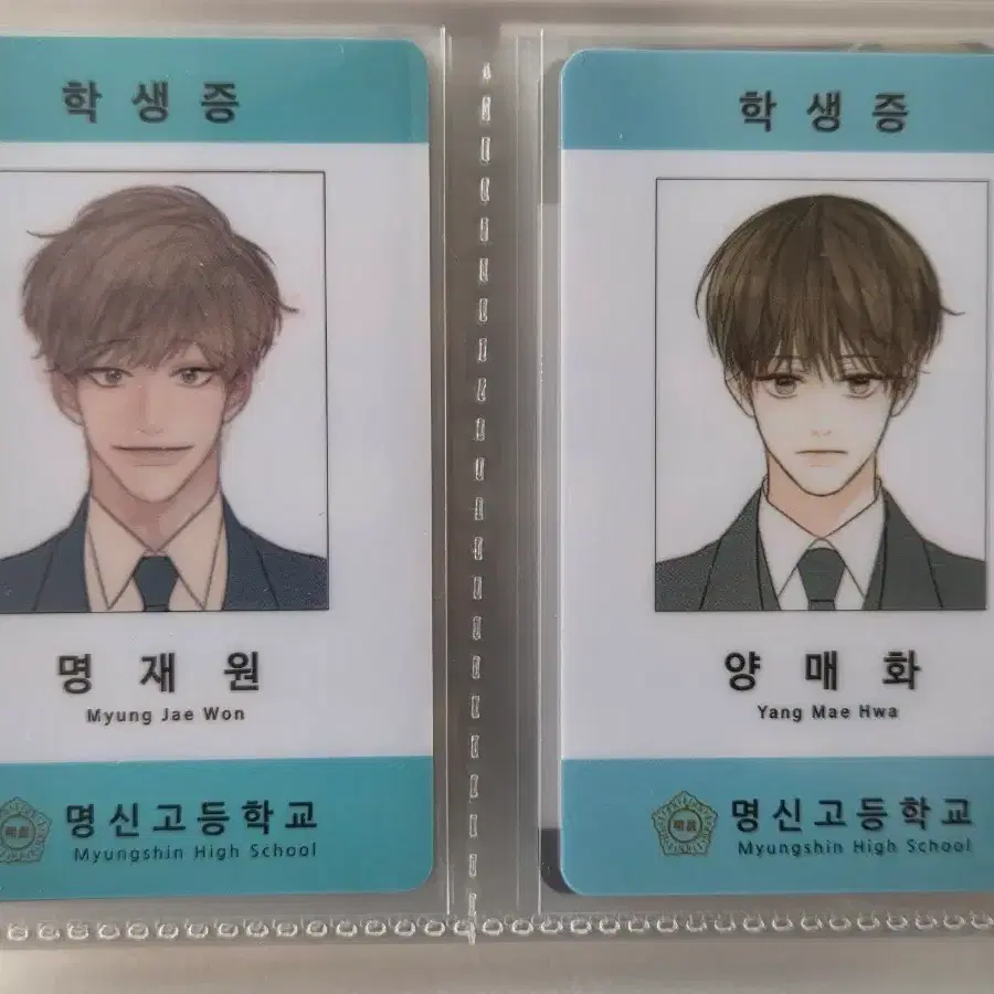 청사과낙원 청낙원 학생증 명매 일괄