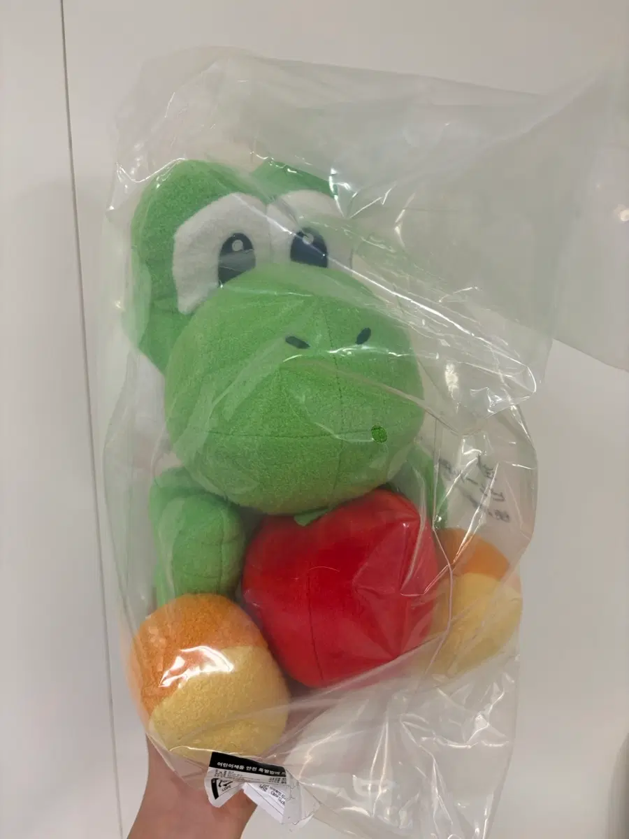 요시 쿠지 A상