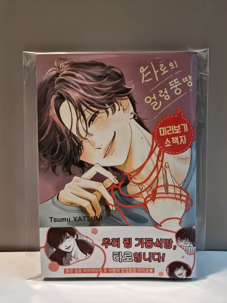 타로의 얼렁뚱땅 소책자