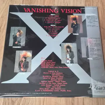 X Japan Vanishing Vision LP | CD/DVD/LP | 번개장터 중고거래