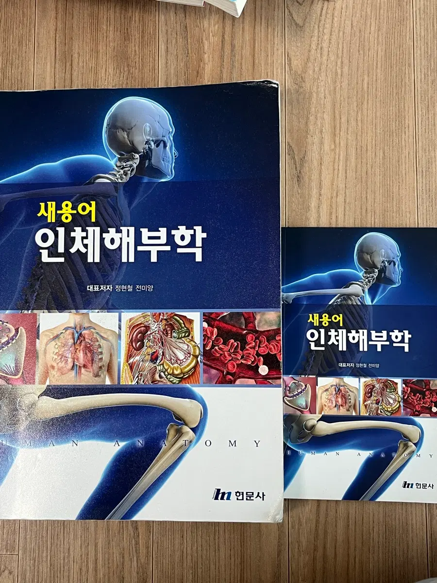 새용어 인체해부학 현문사
