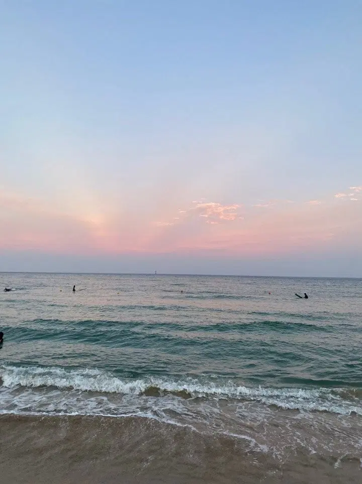 스위치 패밀리 구합니다