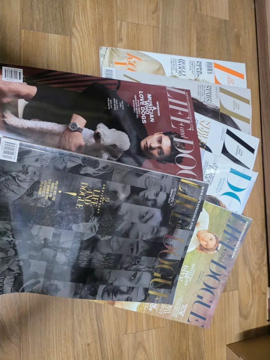 과월호 잡지 라이프앤도그, 일본만화잡지 라라