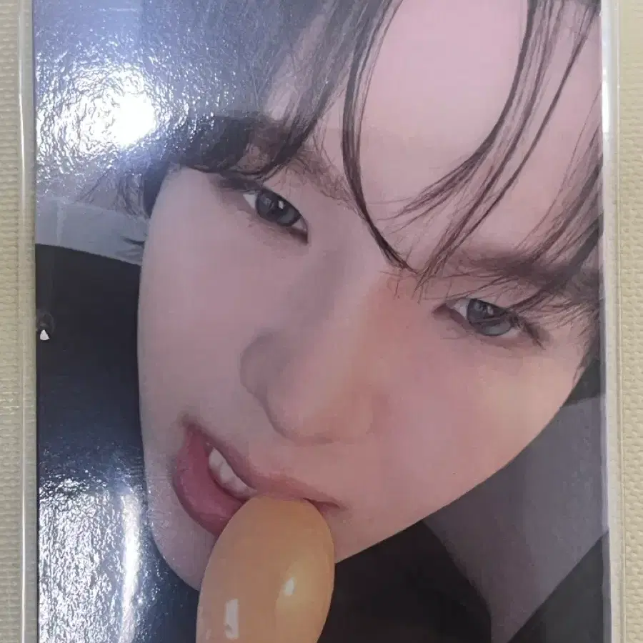 라이즈오피스 쇼타로 포카