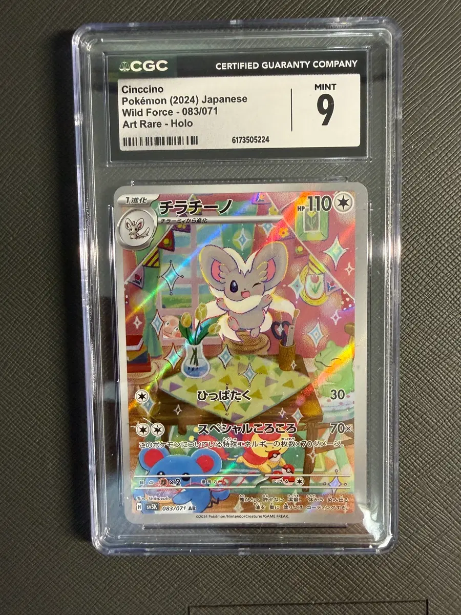 포켓몬카드 치라치노 AR 2024 CGC 9 민트