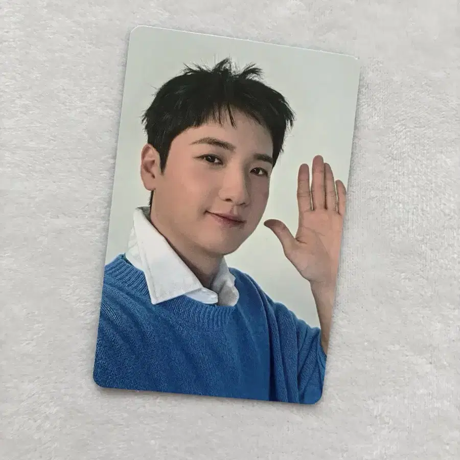 루시 신광일 더스타 포카 양도