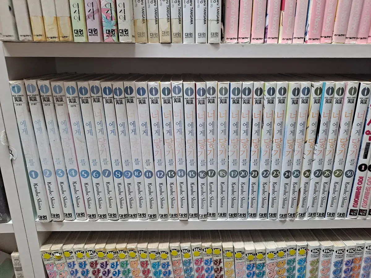 너에게 닿기를 1-30 완결 중고만화책 만화짱많아 프로안전상점