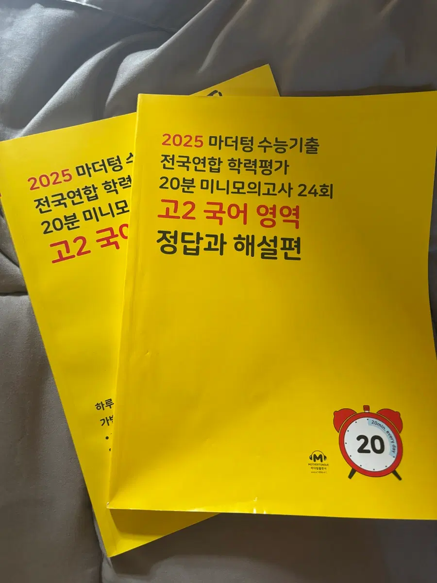 2025 고2 국어 마더텅 노란책