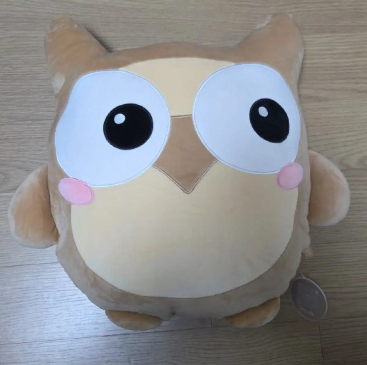 시대인재 기숙 1기 부엉이인형